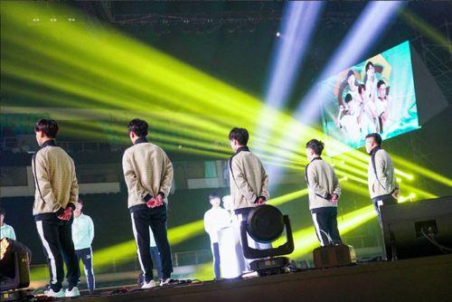 fly转会cat吃瓜,Fly转会Cat，吃瓜群众热议不断  第1张